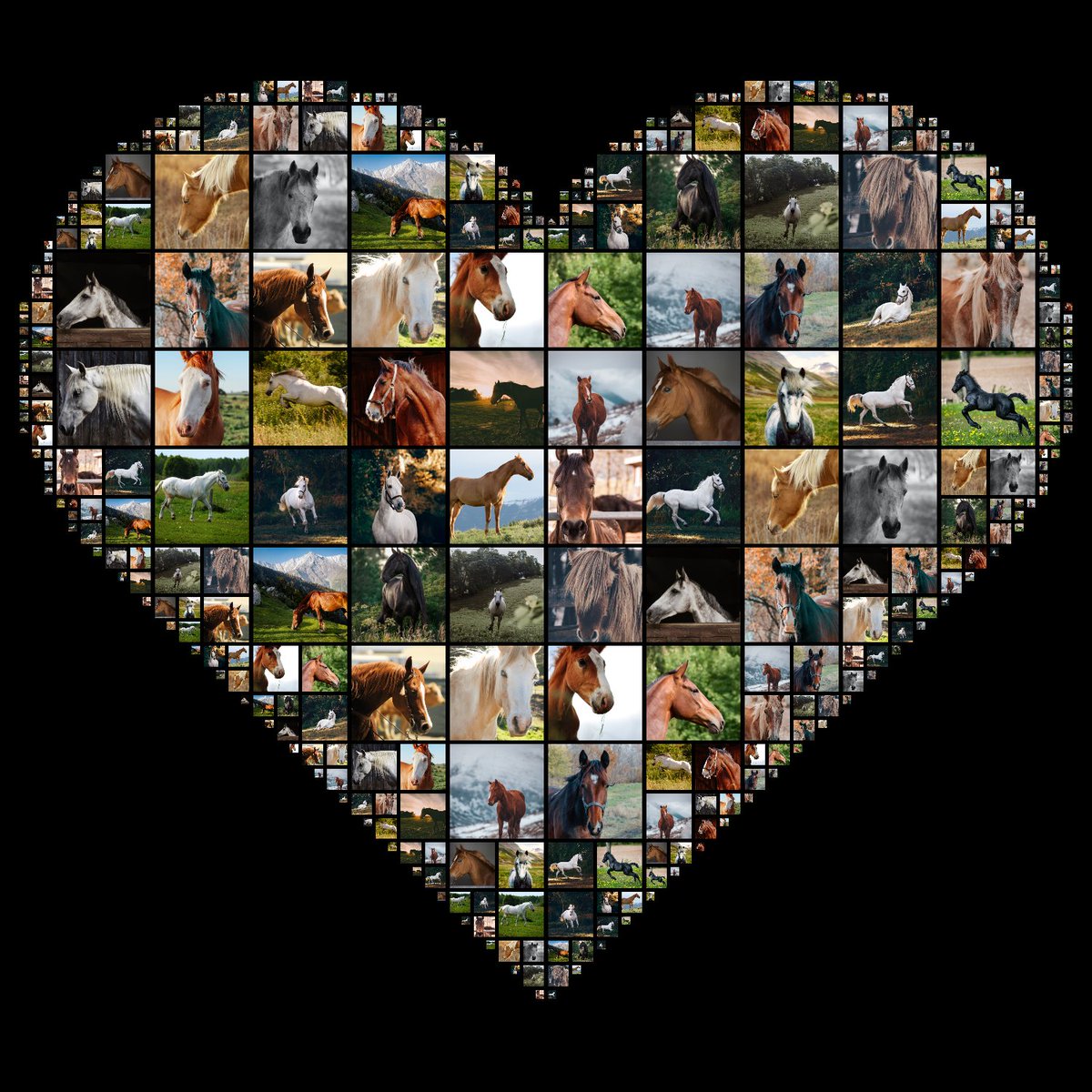 iis_nft's tweet photo. New NFT | Horse Images in Shapes
What do you think??? 
Link in the bio ❤Handshake
#newnft #NewNFTProfilePic #newnfts #opensea #OpenSeaNFT #horse https://t.co/ckkZj8vAze