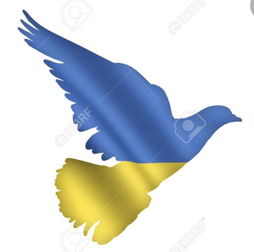 CECICABRERAP's tweet photo. Ojalá algún día no existan  militares, ojalá llegue el día en que no existan las fuerzas armadas. Que vergüenza y asco me da ver a los soldados reírse mientras disparan misiles contra inocentes me da asco. https://t.co/9ATHw6JIBg