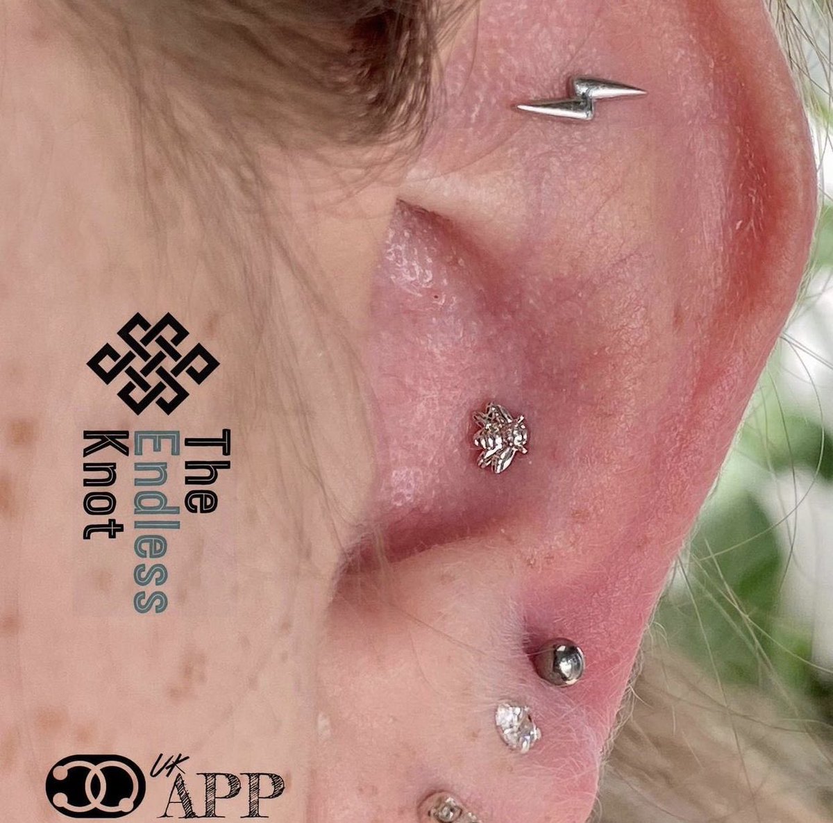 safepiercing_uk's tweet photo. Super cute conch and flat by UKAPP member @endless_knot_studio! 🤩 #safepiercinguk #ukapp #ukappmember https://t.co/7HrhyeeoOJ