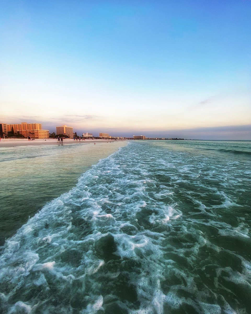 Visit Sarasota County tweet media