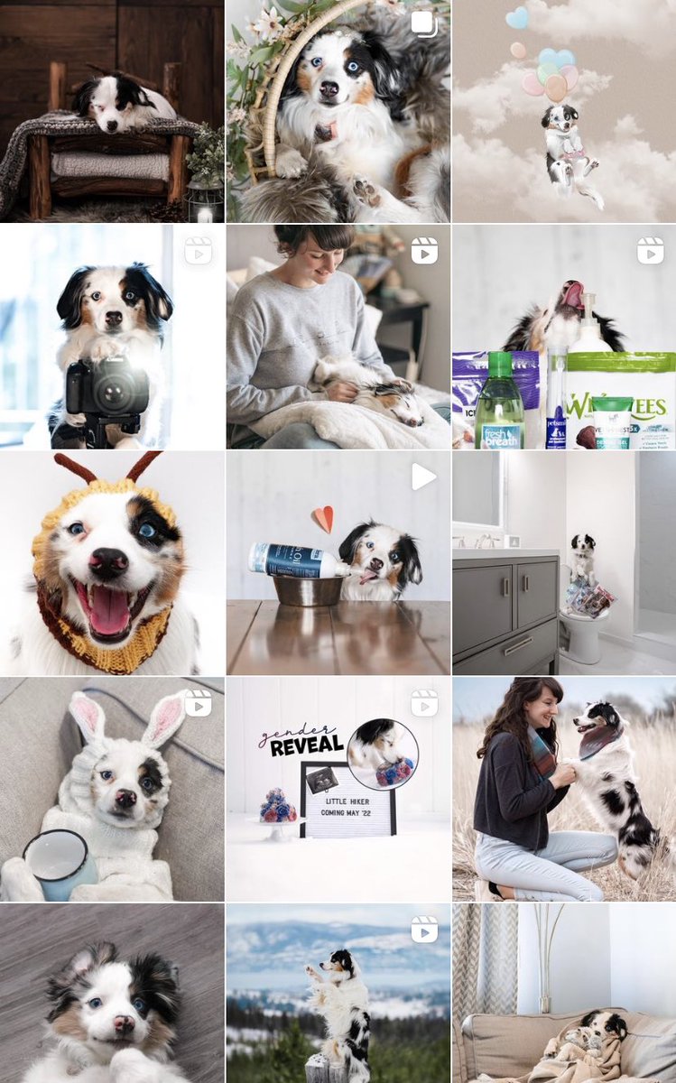 Jessie & Lala Kraan tweet media