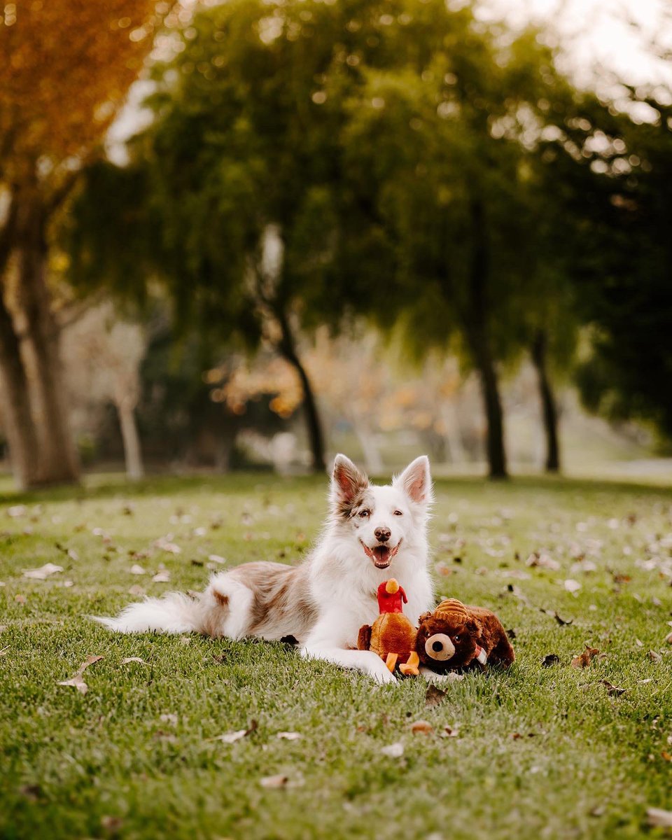 Willow and Emma tweet media