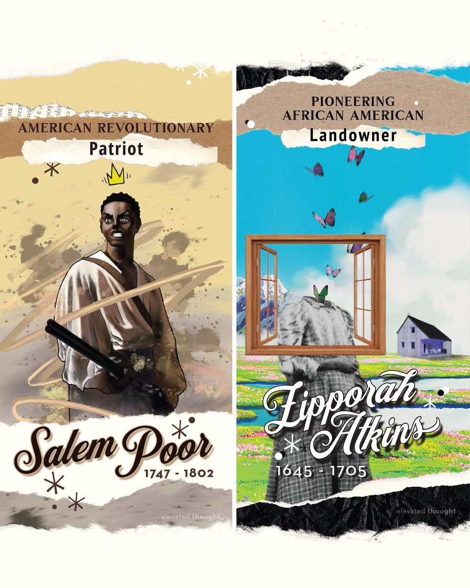 elevated thought tweet media