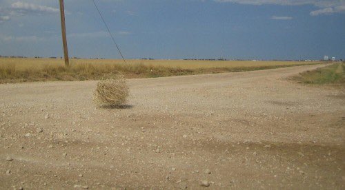 ptigwn's tweet photo. Mes potes : *baisent, giga saucés par des mecs, dates à foison*

Moi : https://t.co/nimzpNh8Vk