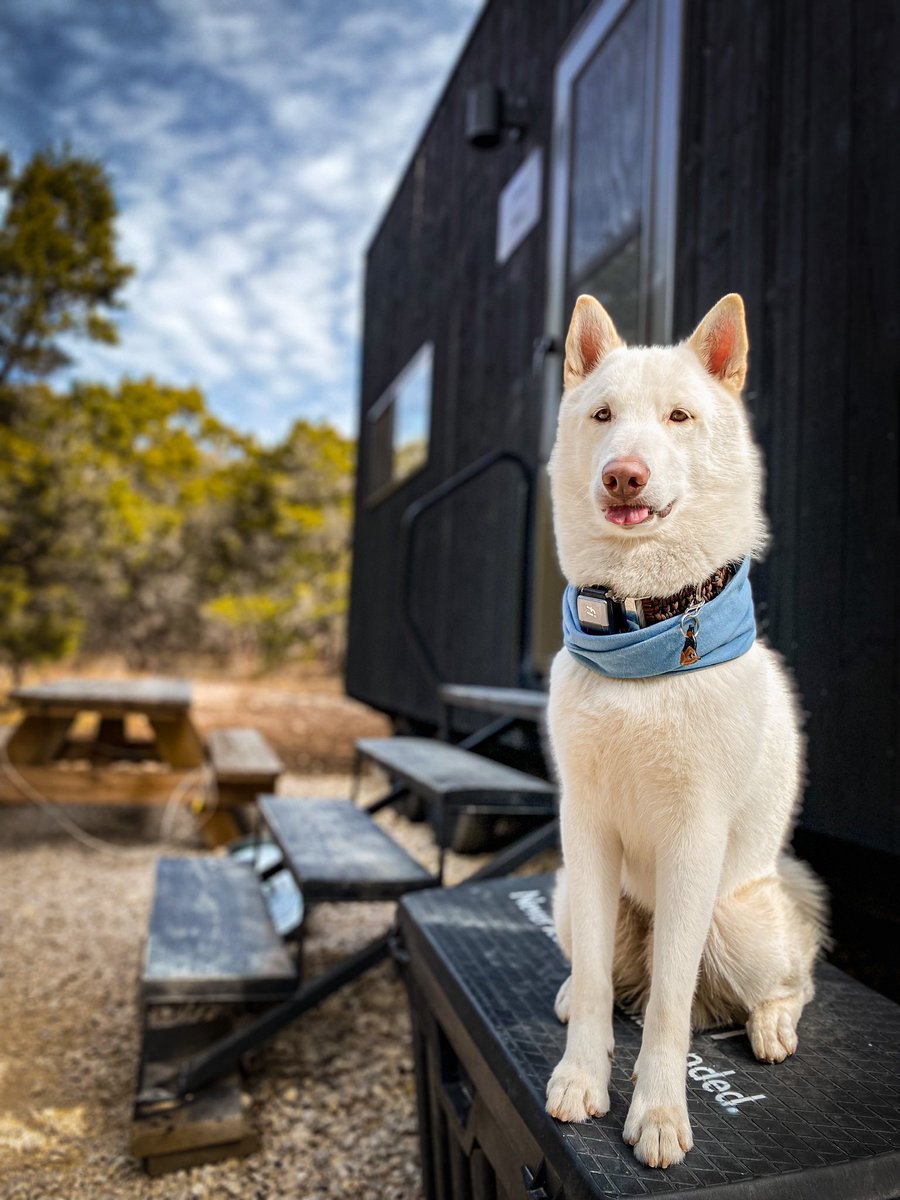 Fluffsontheroad tweet media