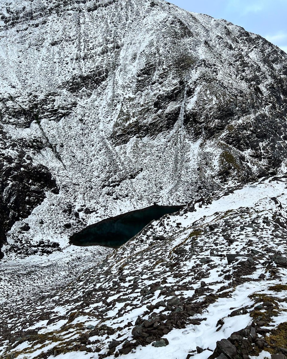 LittleBigAdventures tweet media