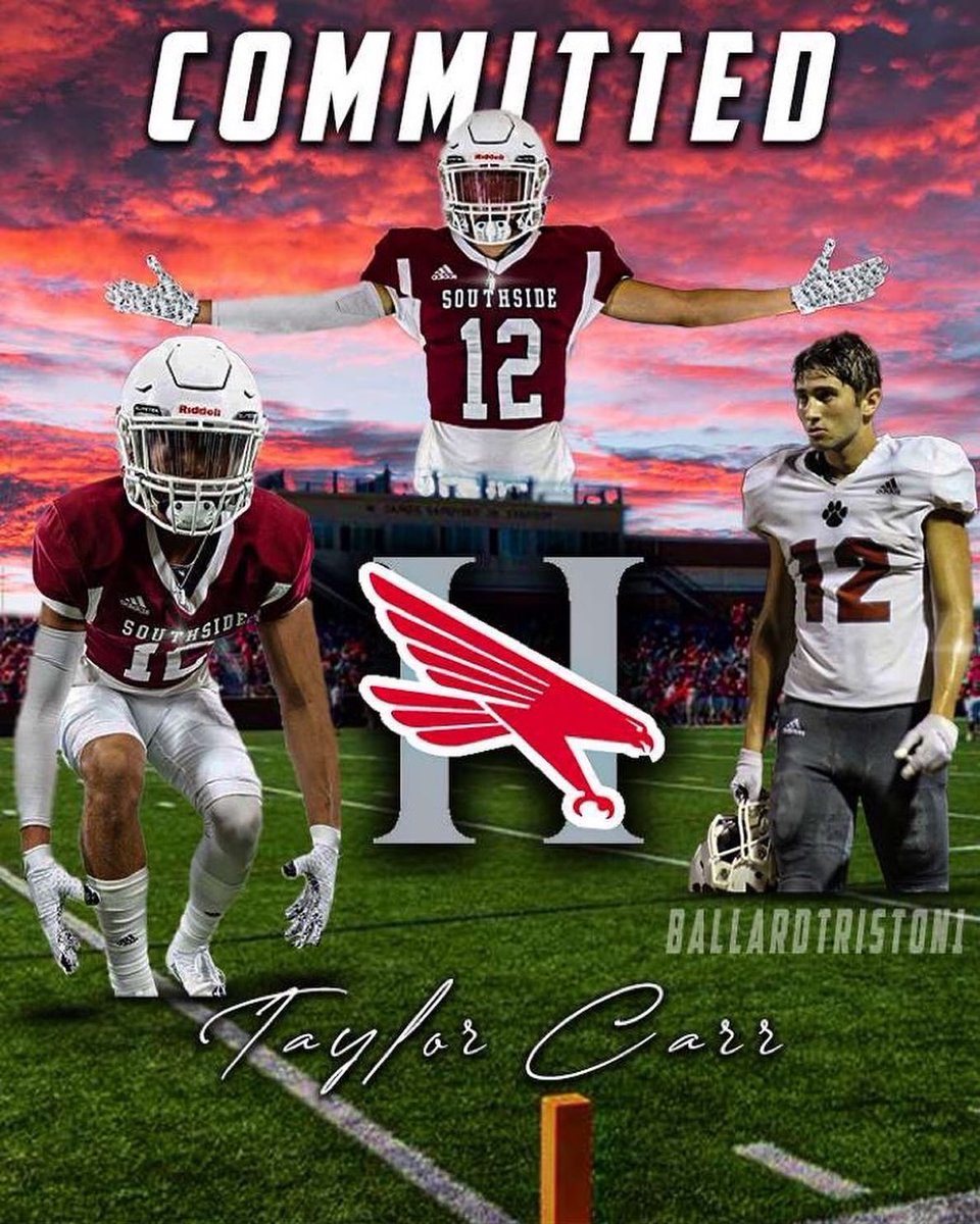 Taylor Carr tweet media