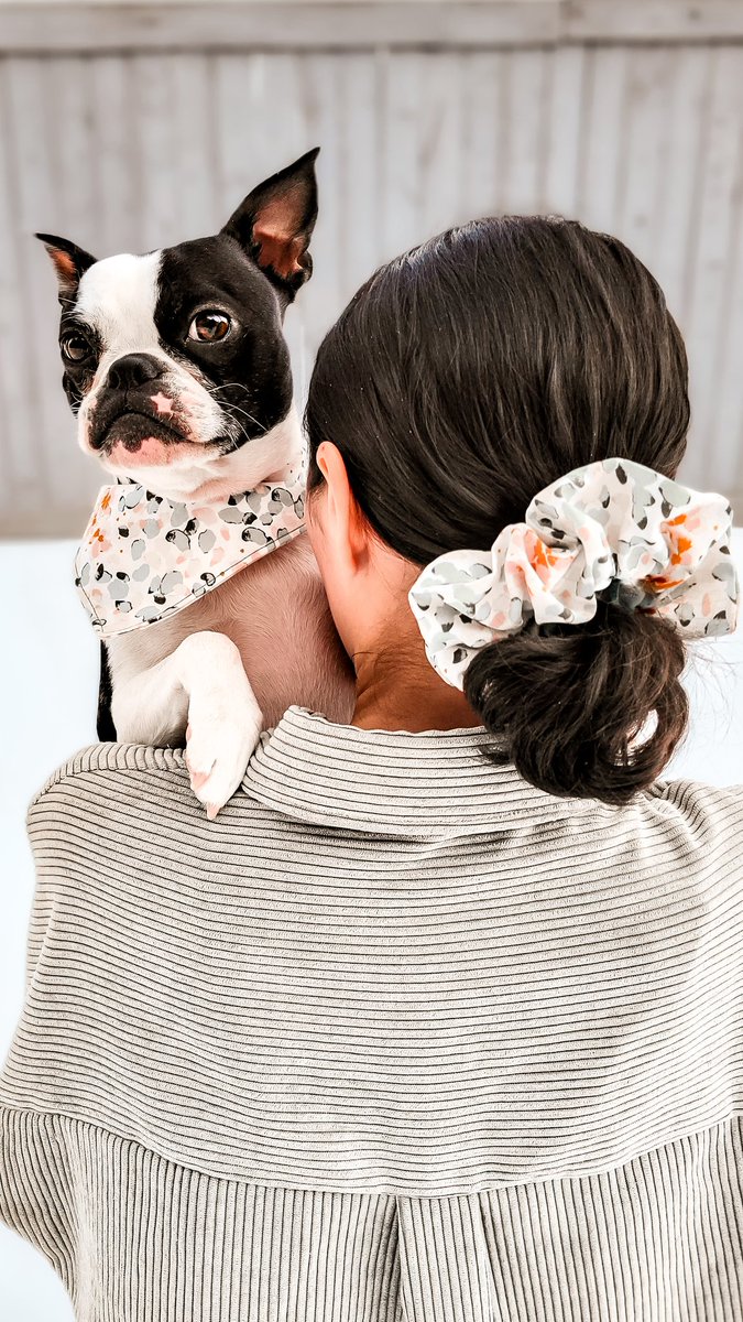 Bossy Pupper tweet media