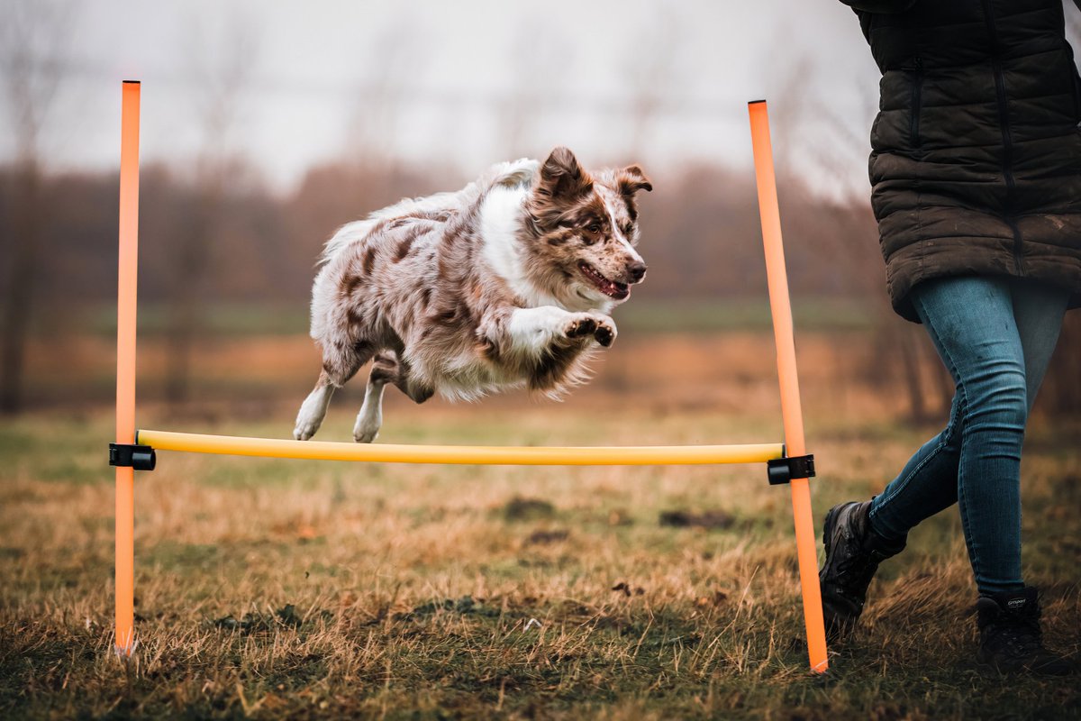 Tomorrow is competition time! Let's see how we will do 😂❣️