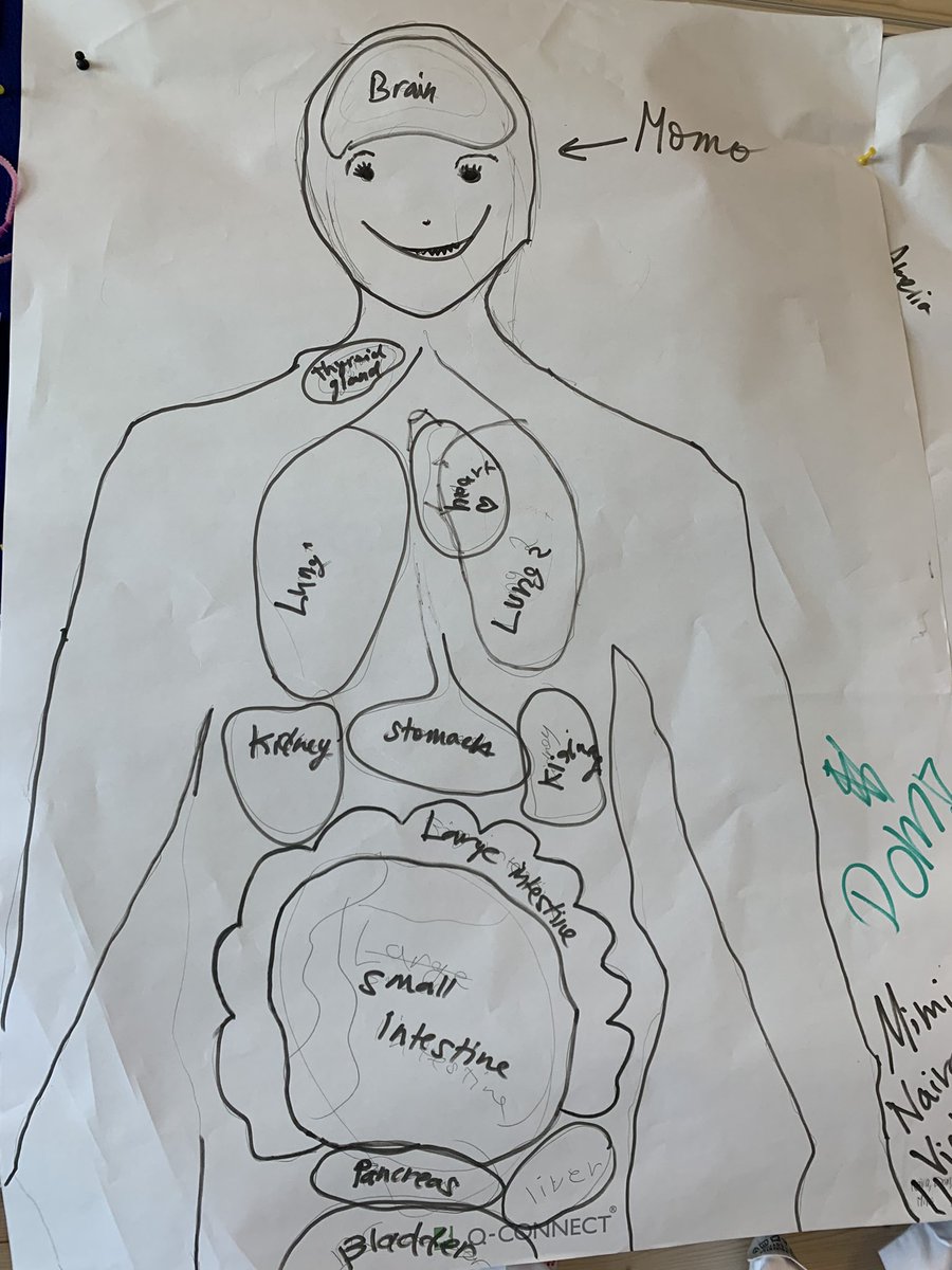 SmiffyDeTeacher's tweet photo. A fun activity to understand misconceptions &amp; prior knowledge. #msrocks @ISZL #Science https://t.co/CxrNhKtZNp