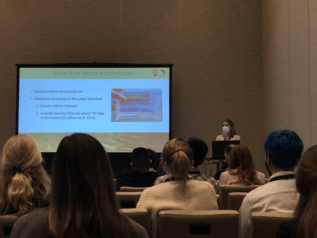 kl_walters's tweet photo. @Raincoast team member Paige Roper presents on the Fraser River Estuary Connectivity project at the #CCFFRSCL2022 conference.

"The creation of 50 m wide breaches in the jetty allowed juvenile Chinook salmon to access previously alienated estuary habitat". A restoration win! https://t.co/cGdxOELQyh