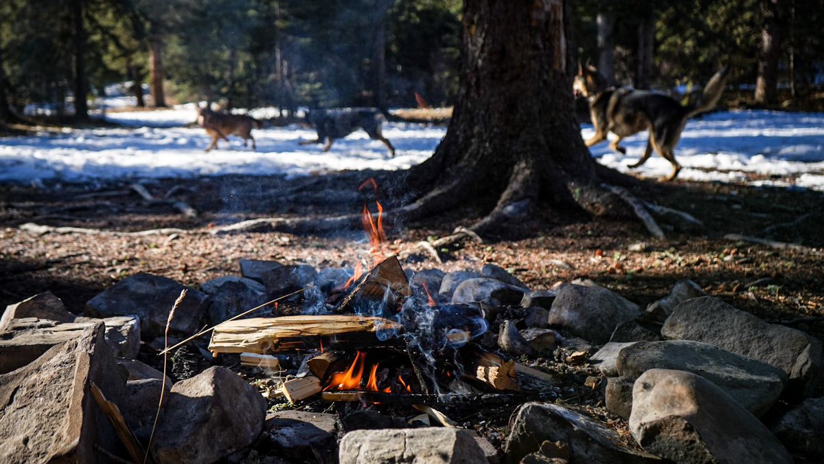 Juni & Alyssa tweet media