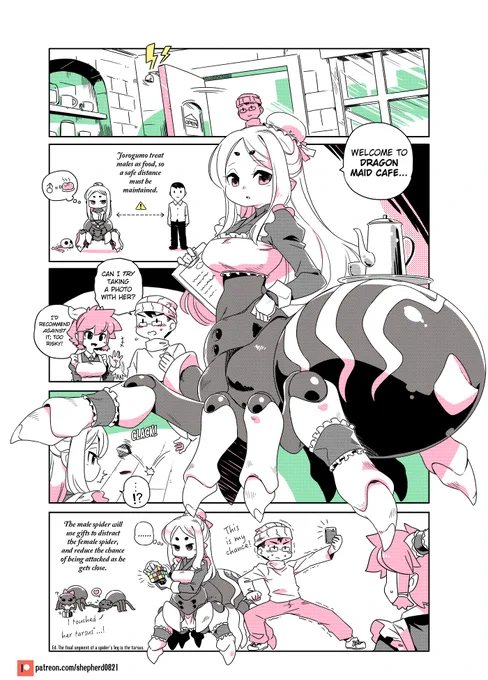 Modern MoGal #198 - Survival Strategies 🕸️
#modernmogal 