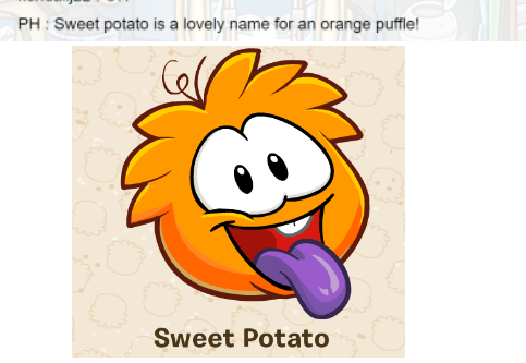 PippiL1_CP's tweet photo. Y'all, PH complimented my puffle's name, I can sleep peacefully tonight #PuffleHandler #CPRewritten #PuffleParty #PHCPRewritten https://t.co/cveIInAKb6