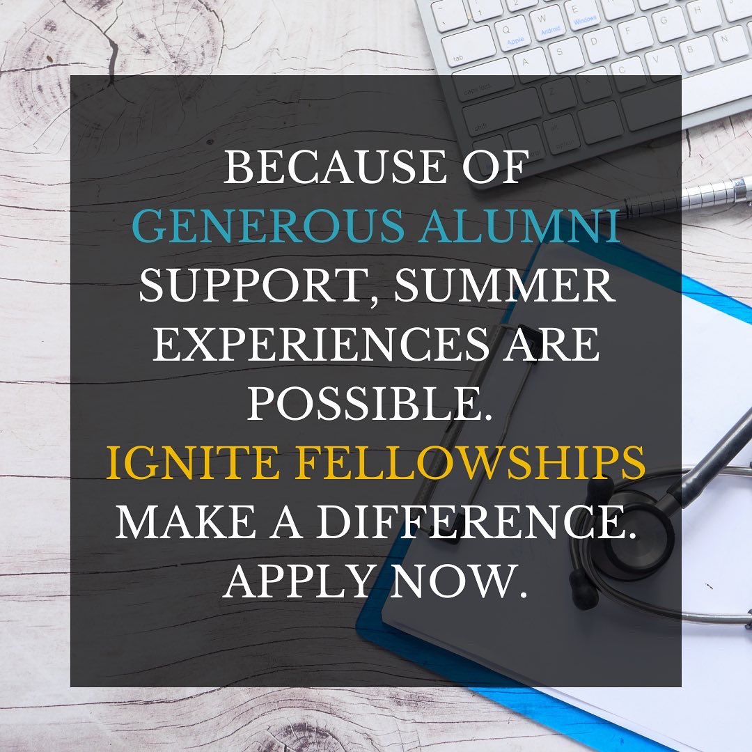 Meet Declan Rapp, a Summer 2021 Ignite Fellowship winner. You too, can get financial support for your summer experience. Go to lemoyne.edu/Academics/Care… #opportunity #Medical #medicine