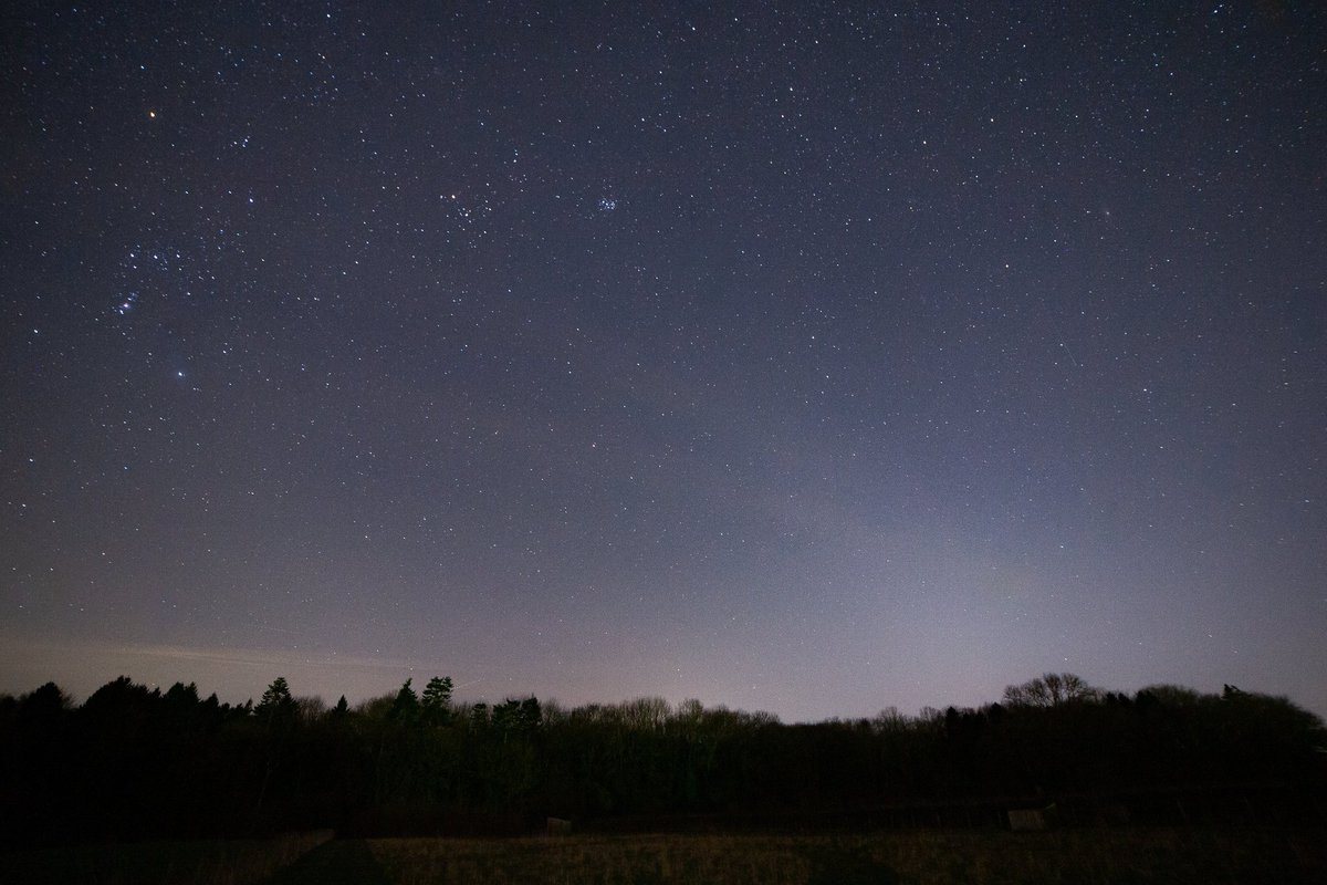 Another shot at the #zodiacallight this evening from down the field. In the company of Orion, Pleiades and Andromeda 🤩 #astrophotography