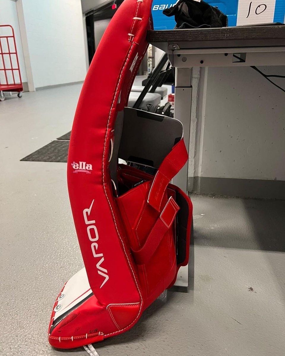 GoalieGearNerd's tweet photo. 2/2 One of those designs is for his billet sister Ellen MacPherson who was diagnosed with a rare genetic bone condition. Fortunately, Mandolese says “Ella is doing great, she had the green light to have a ‘normal’ lifestyle and be around other kids!!“ https://t.co/kV7hitEa1G