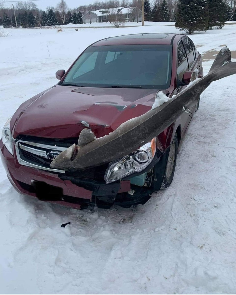 ali__bahrami's tweet photo. How do you even try to explain this to an insurance company?! https://t.co/hUnulp2lvB