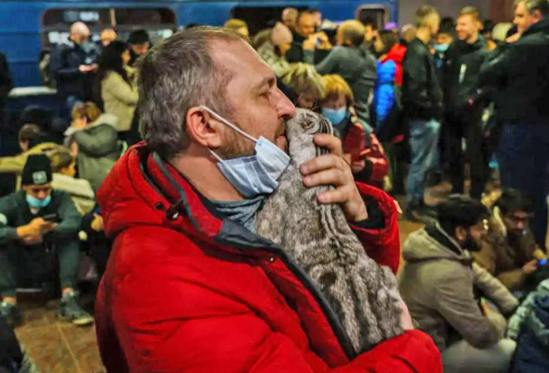 Now I Know His Name---Caman Denysenko tries to calm his frightened cat and enter an underground shelter in Kharkiv, Ukraine. Photo: Marcus Yam/Getty Images.