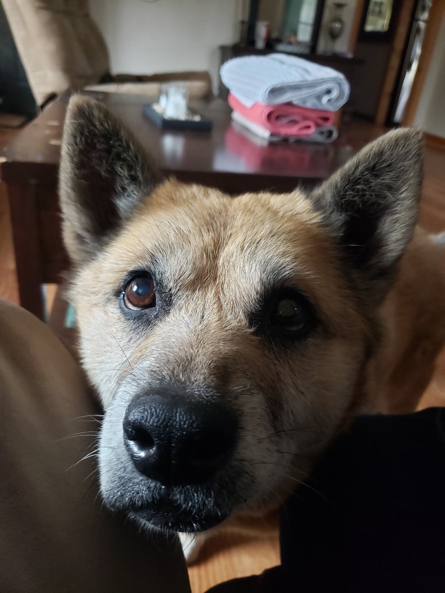 duke + emma tweet media