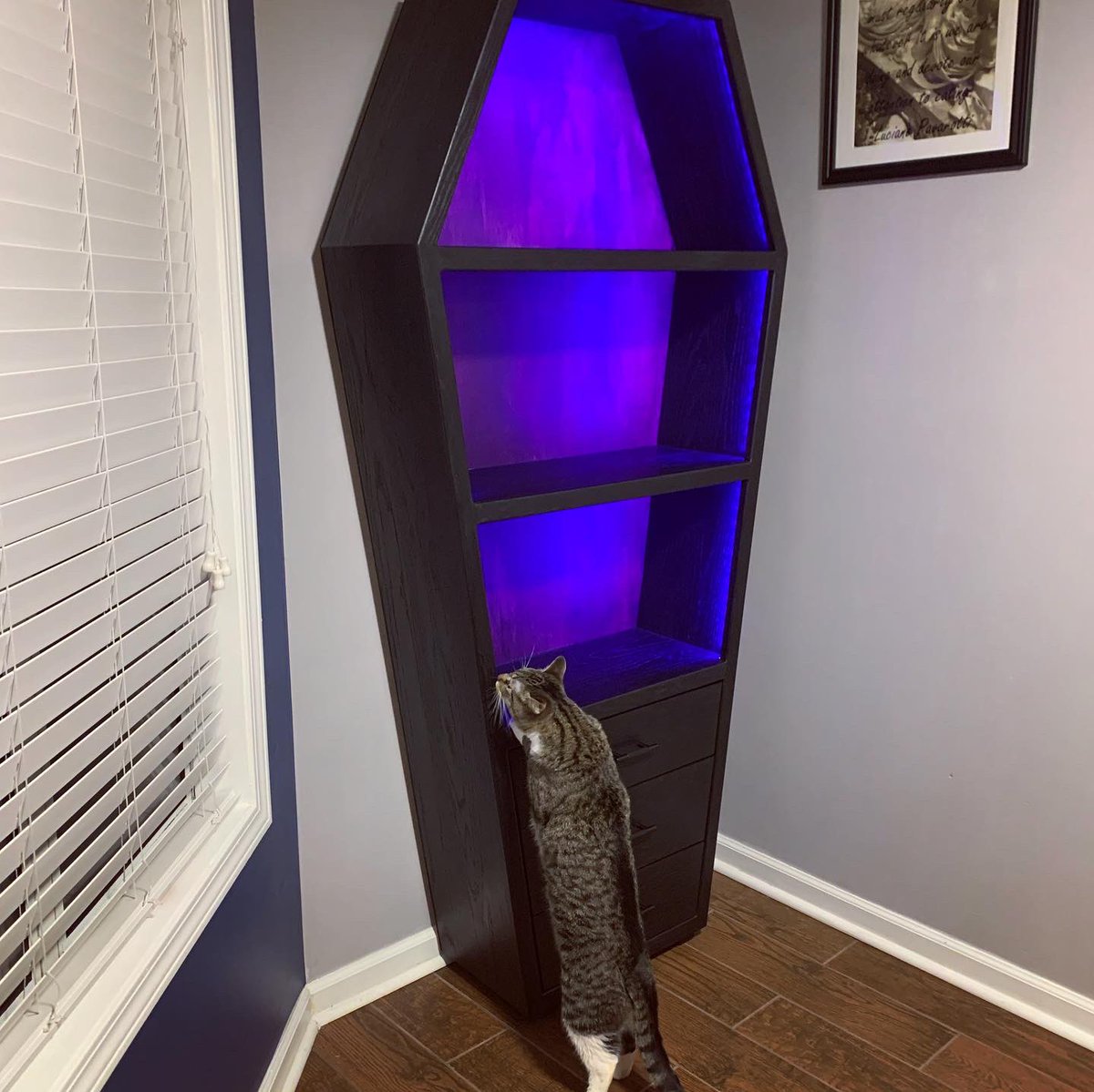 MakeForLife's tweet image. Check out this custom coffin shaped bookcase I made for a client. What books are you putting in it? ⚰️