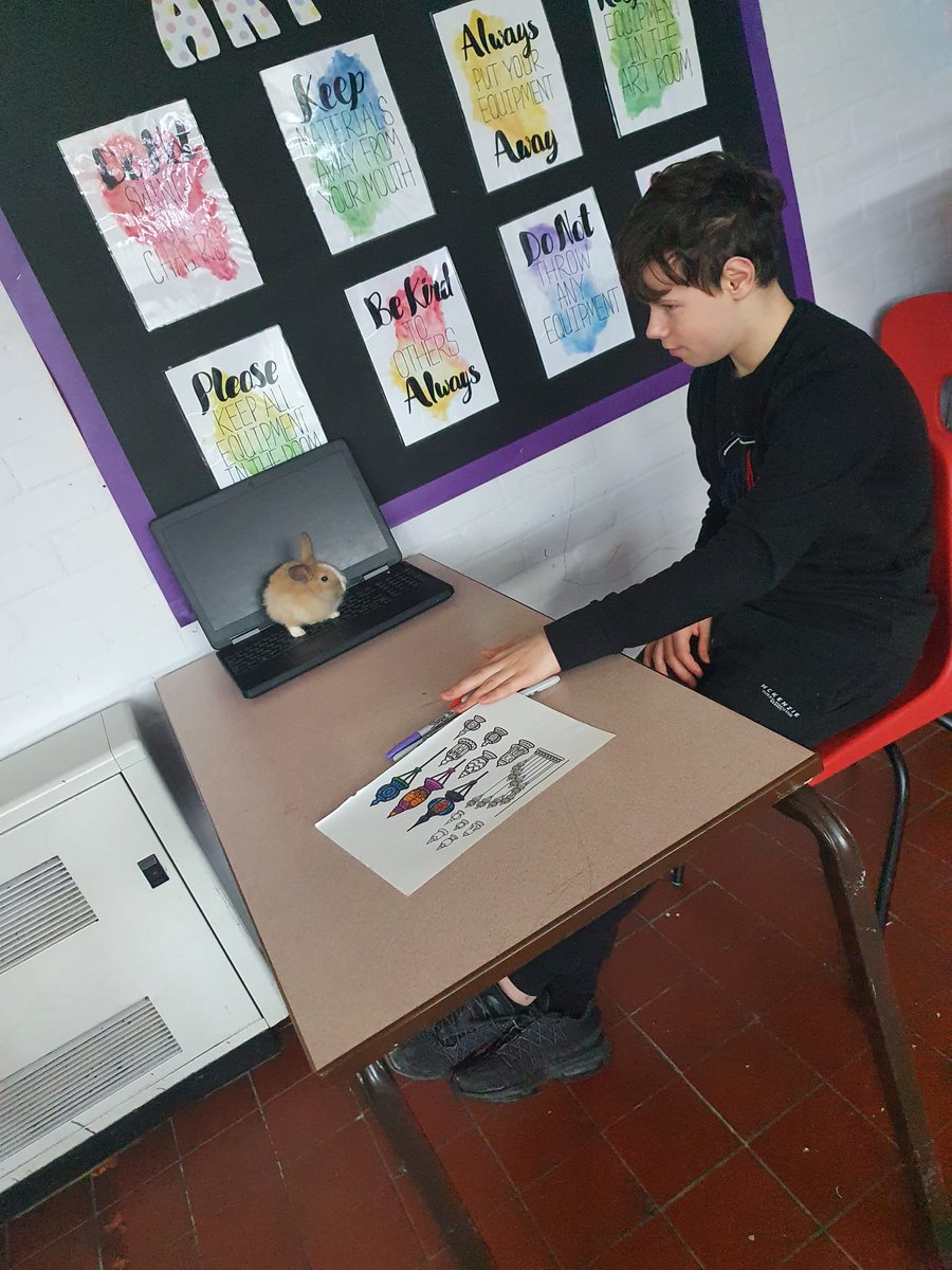 Livvi_Fay's tweet photo. Our pupils just love being in lessons with our animals 🐰#animaltherapy #LPTF #animalcare @LeverParkSchool @bolton_pru https://t.co/jGX6eCoeTp