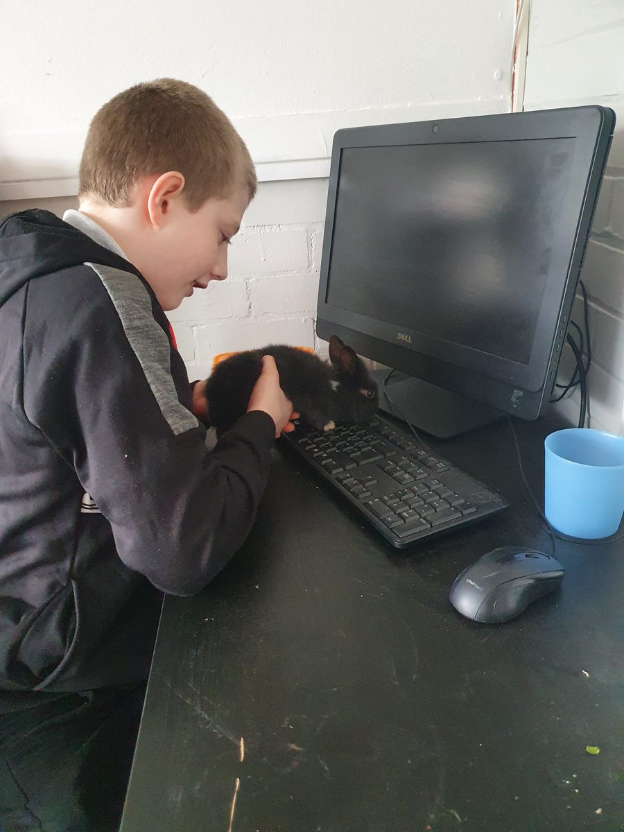 Livvi_Fay's tweet photo. Our pupils just love being in lessons with our animals 🐰#animaltherapy #LPTF #animalcare @LeverParkSchool @bolton_pru https://t.co/jGX6eCoeTp