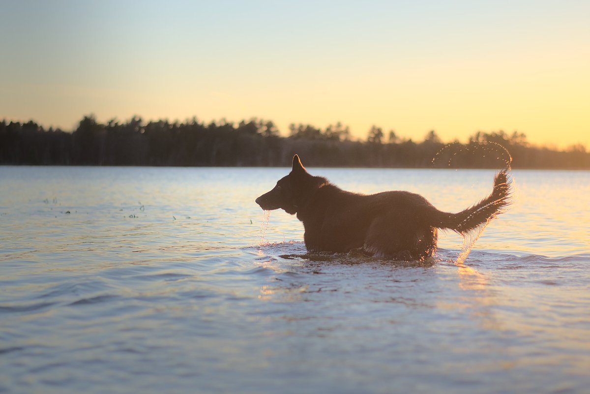 Does anyone else appreciate the other side of the sunset? You know, the side that looks like an ombre and sometimes features a moon. I love it so much. Maybe more than the colorful side tbh