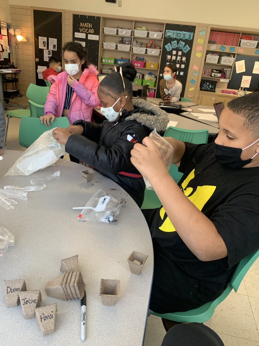 Courtney Stevenson tweet media