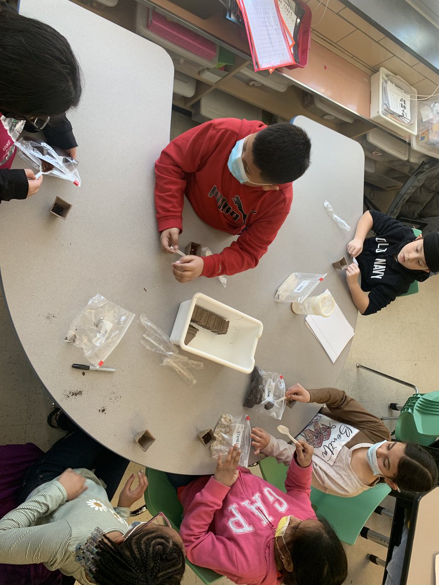 Courtney Stevenson tweet media