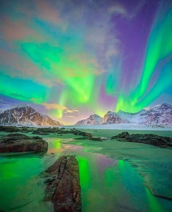 ♥️Amunet♥️ tweet media