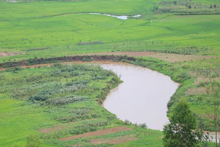 KayanzaSangwe's tweet photo. Uwo murima uzokwagurwa gushika kuri hegitari 800.  @KayanzaSangwe ikaba itegekanya kuzokwubaka ikigo co gusoromeramwo no kwanikiramwo iyo kawa aho izova kuri uwo musozi ija gushorwa mu mahanga, gutyo amahera y’agaciro akozoshobora kwinjira ku bwinshi n’iterambere rigatsimbatara. https://t.co/BfZ8j7a6cc
