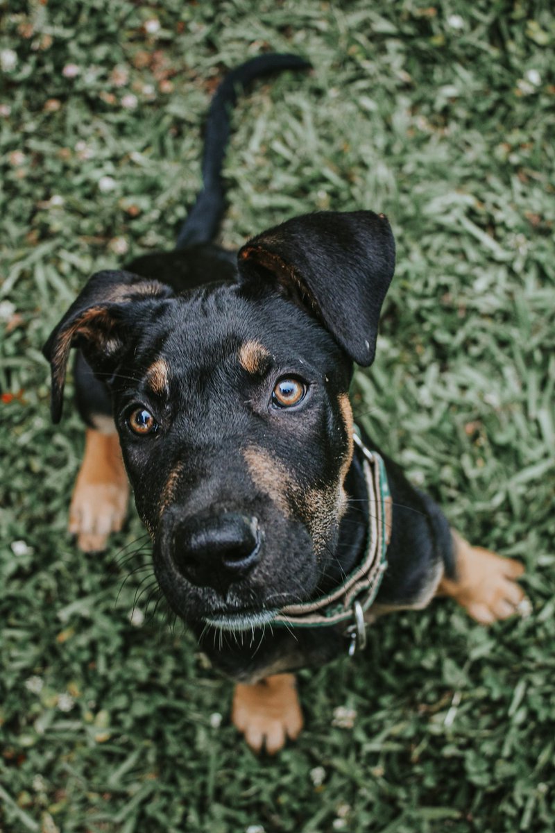 duke + emma tweet media