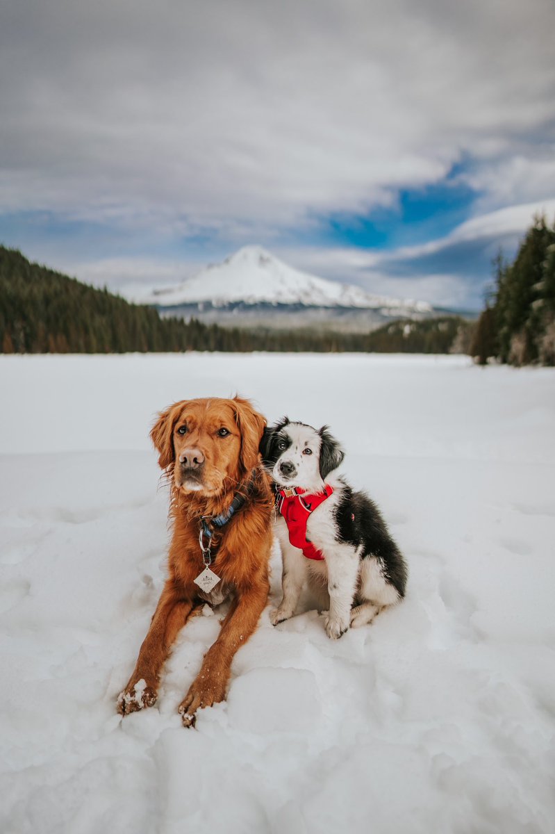 wildwiththem tweet media