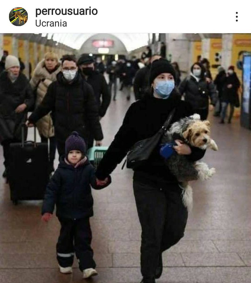 PerroUsuario's tweet photo. Las personas salen de #Ucrania con sus mascotas.
¡La familia no se abandona! https://t.co/q1DIhZcRRA
