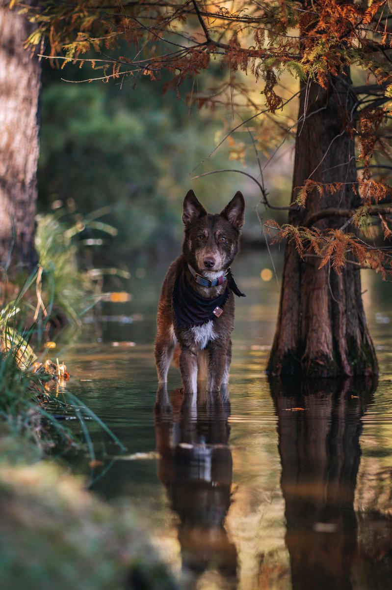 Swetha Menon tweet media