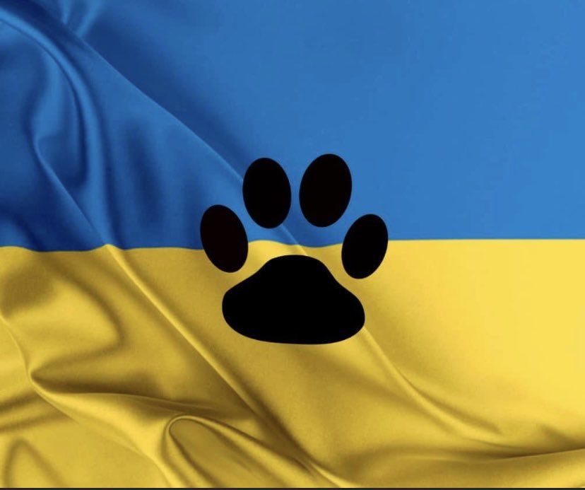CONFIRMED: #Poland, #Hungary, #Romania and #Slovakia have opened their borders with exemptions to allow Ukranians to cross with their #pets without passports. All said borders are lined with veterinarians to help distribute necessary care for these pets.