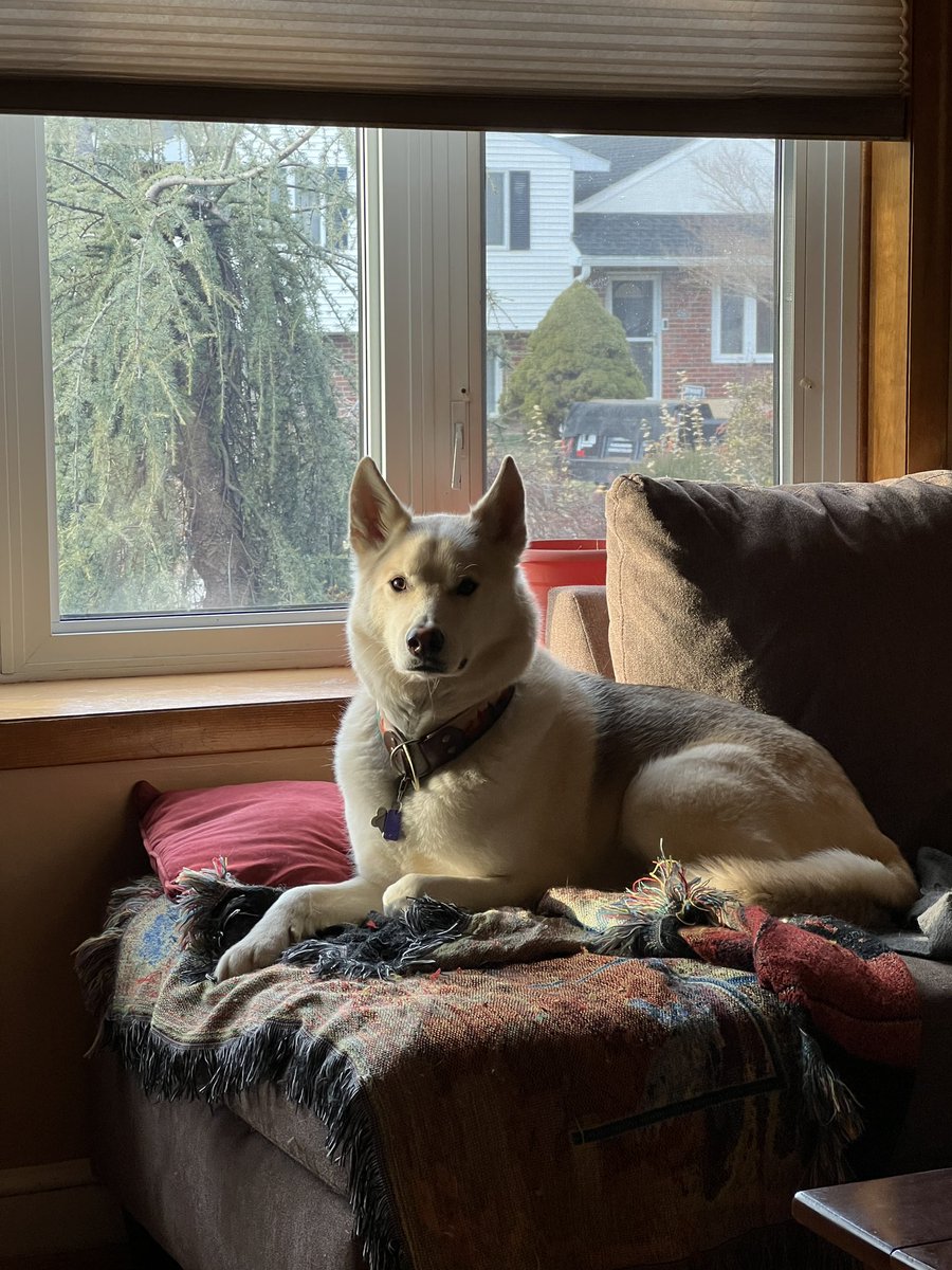 the man at the moment