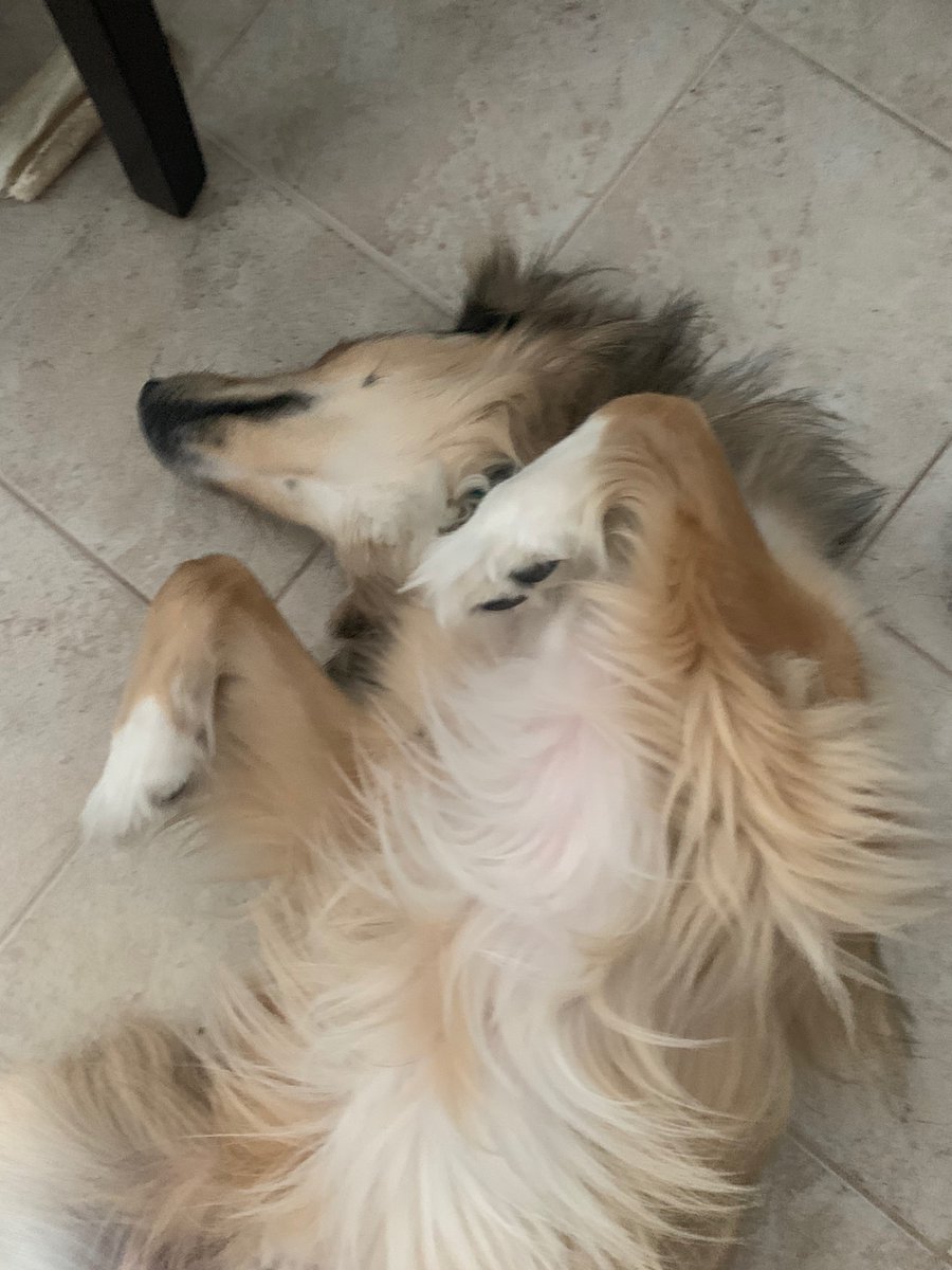 Bigggggg stretch 🥱 have a great weekend everyone ! 
-Zuko, probably