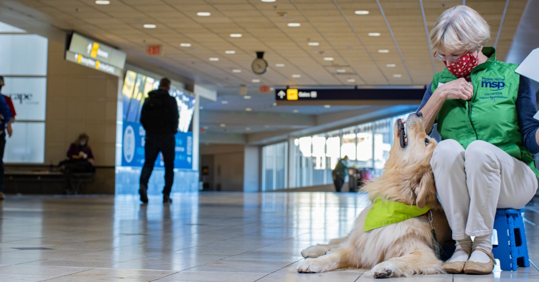 mspairport's tweet photo. The Animal Ambassadors at @mspairport help make traveling less...ruff ❤️ 🐶 ✈️
.
#MSP #MSPAirport #Minnesota https://t.co/zm74n2LNLk