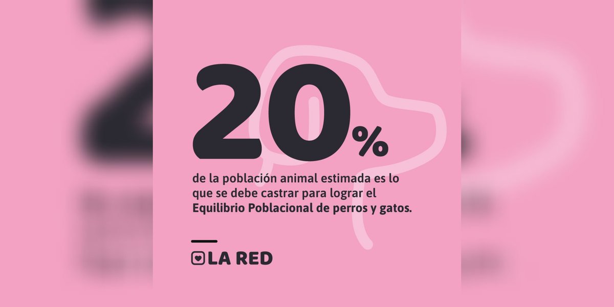 Red de Políticas Públicas tweet media