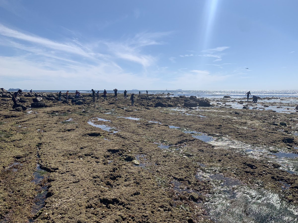 WillJacoway's tweet photo. Great with students in an outdoor classroom. Thanks @CABRILLONPS for the excellent tide pool experience. @helixcharter once again provide awesome opportunities for learn in new and new exciting ways https://t.co/u6ljxcNmJE
