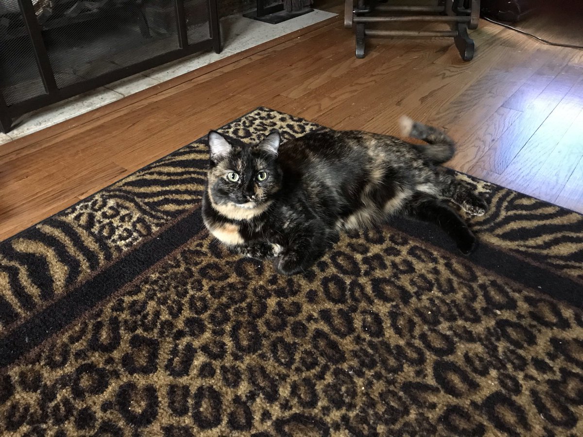 Raighrí tweet media