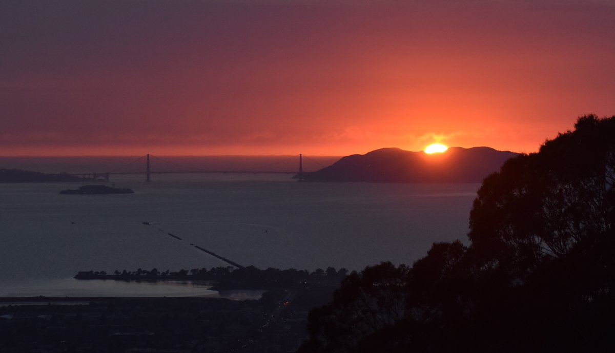 MattGeo_Photos's tweet photo. Sunset over the Marin-side of the GG bridge with the Berkeley Marina in the foreground. What draws you in?

#photography #landscapephotography #sunsetphotography #SanFrancisco #GoldenGateBridge #bayareaview https://t.co/6fPyWo3vgv
