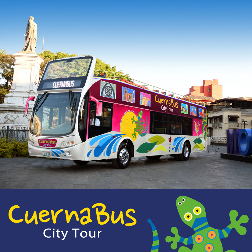 PullmanDeMorOf's tweet photo. ¡Recorre #Cuernavaca de una forma diferente! 👏 🚌 😀
Te invitamos a disfrutar de un tour a bordo del #Cuernabus
Salidas diario frente al Palacio de Cortés 📍
#CiudadDeLaEternaPrimavera https://t.co/zY81dtEUiC