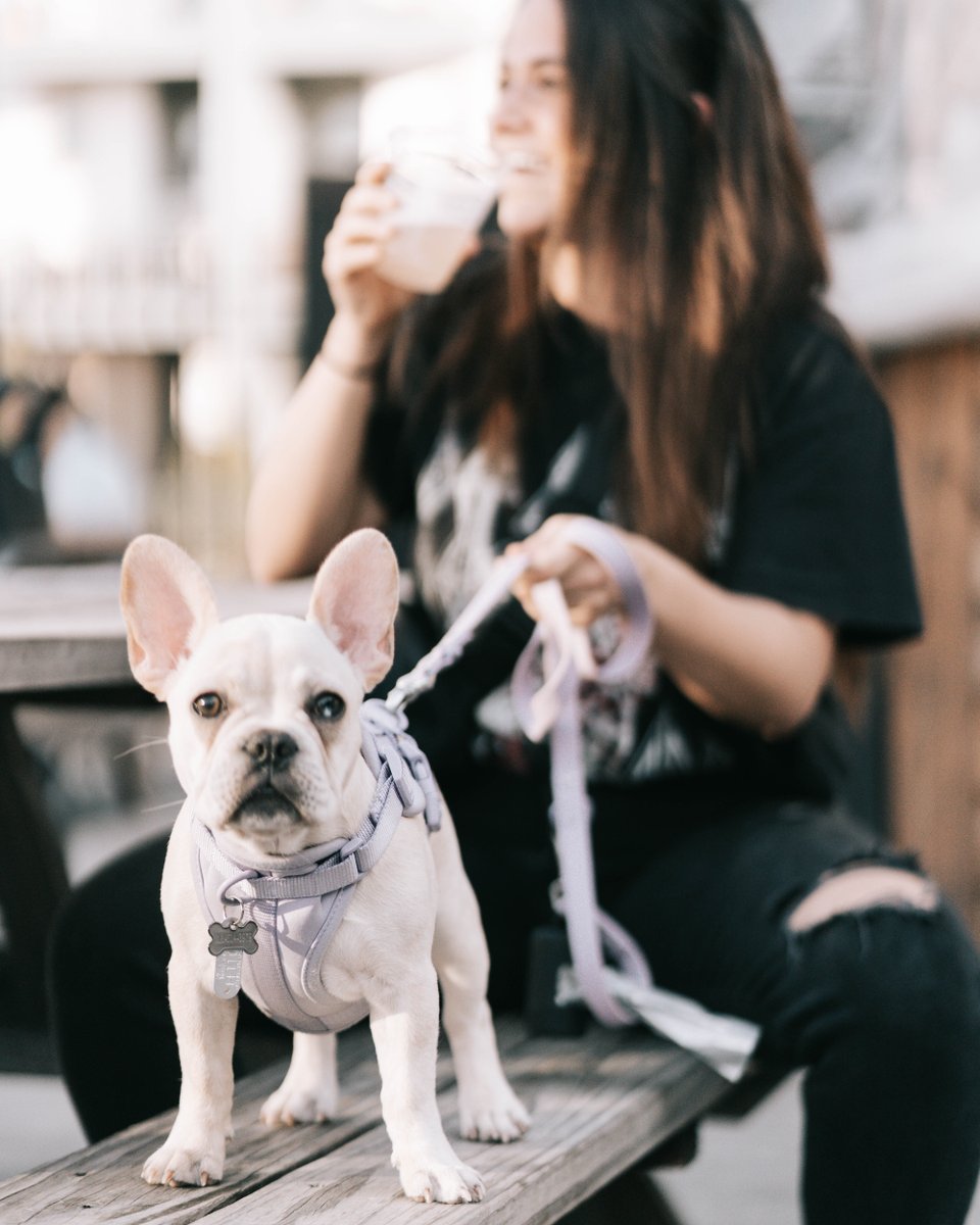 Suffolk Punch Brewing tweet media