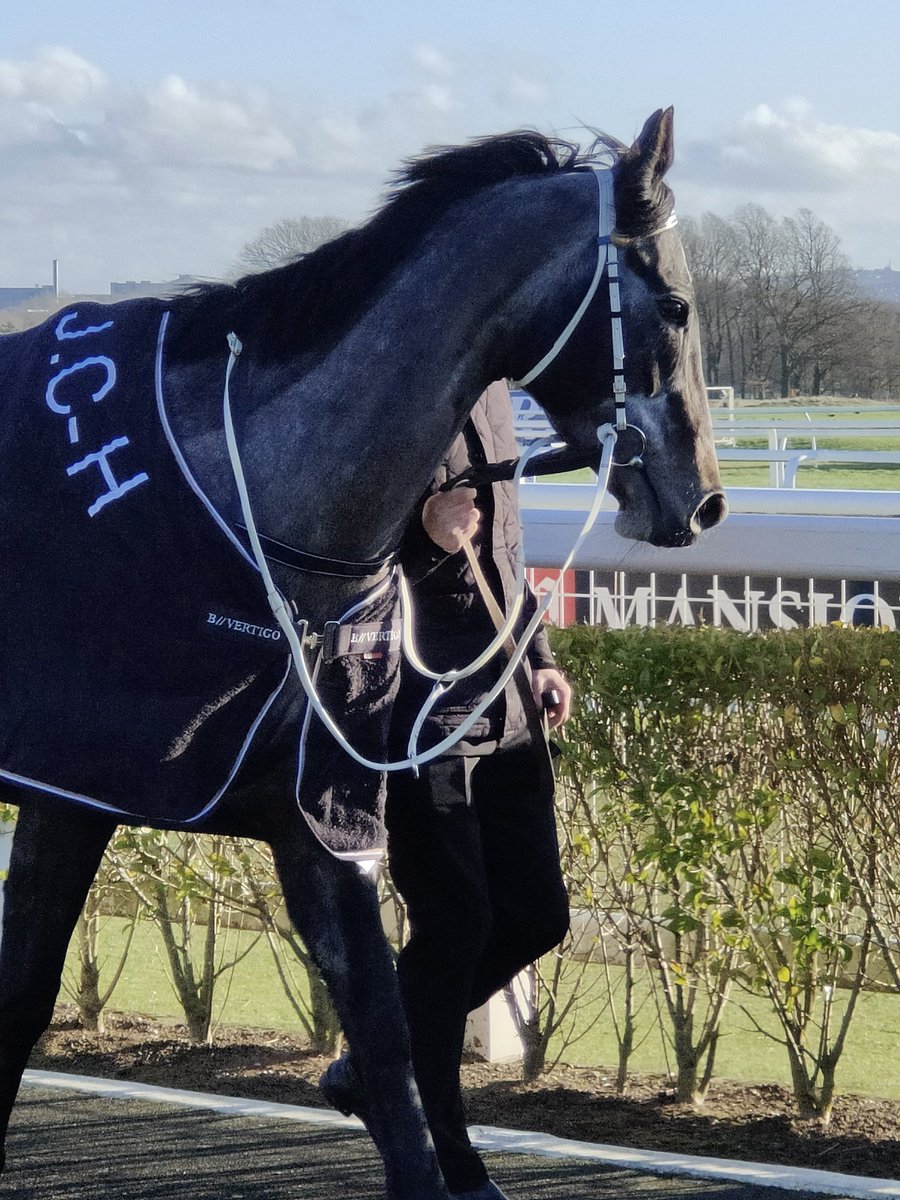 Laurence020365's tweet photo. Internationalangel
Our superstar just before her amazing win at Newcastle on 23rd Feb 2022 
Huge thanks to @JaneChappleHyam and the team and to @Rob_tart for a great ride. https://t.co/4rBXWe5oW1