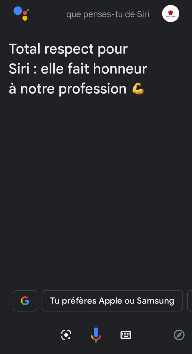 Esphyton's tweet image. Ah. L&apos;assistant google n&apos;est pas rancunier. #AssistantGoogle