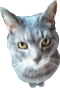 CatHeide's tweet photo. @m3m3d__ https://t.co/xFYv1dXrRd