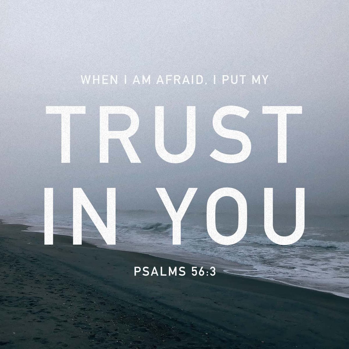 YouVersion's tweet photo. Psalms 56:3 https://t.co/FVw0sPut3p